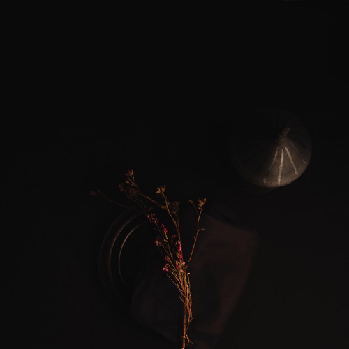 Buy EDM Ghost Production track - Like a Shadow