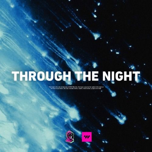 Buy EDM Ghost Production track - Through The Night