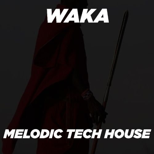 Buy EDM Ghost Production track - Waka