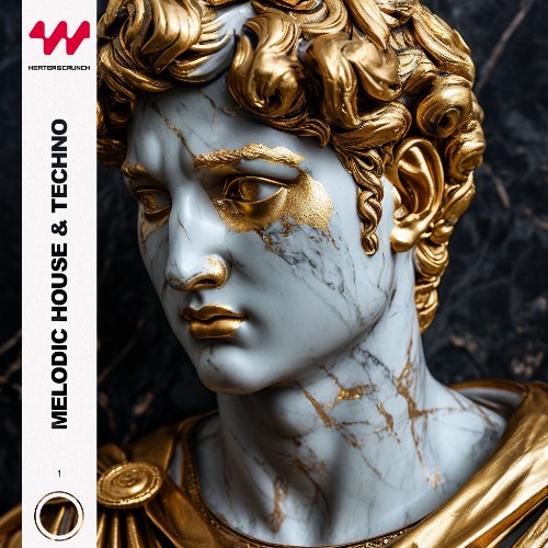 Buy EDM Ghost Production track - Amores Melodic