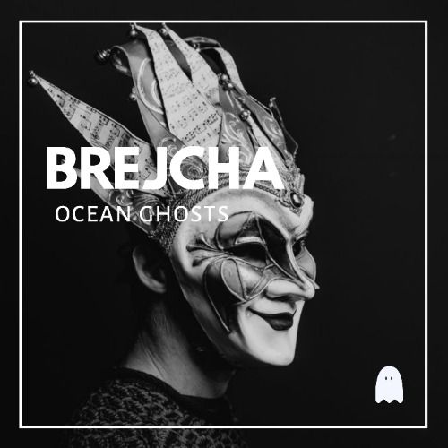 Buy EDM Ghost Production track - Brejcha