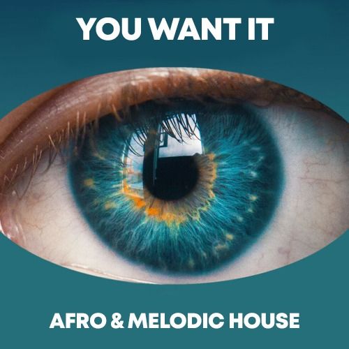 Buy EDM Ghost Production track - You Want It