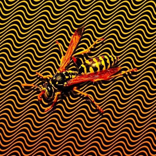 Buy EDM Ghost Production track - Freaaak