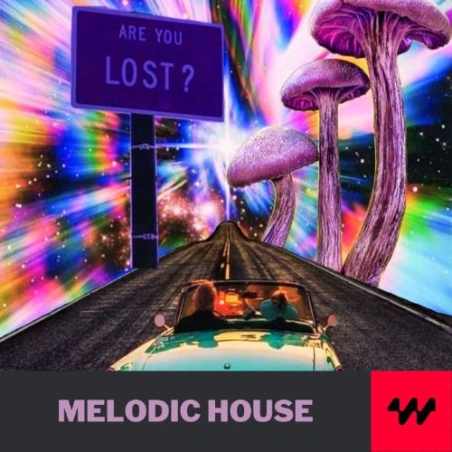 Buy EDM Ghost Production track - Summer Melodic Vibes