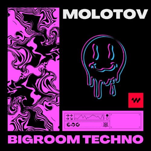 Buy EDM Ghost Production track - Molotov