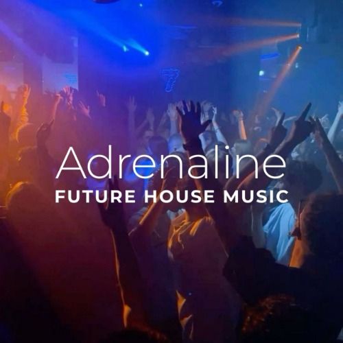 Buy EDM Ghost Production track - Adrenaline