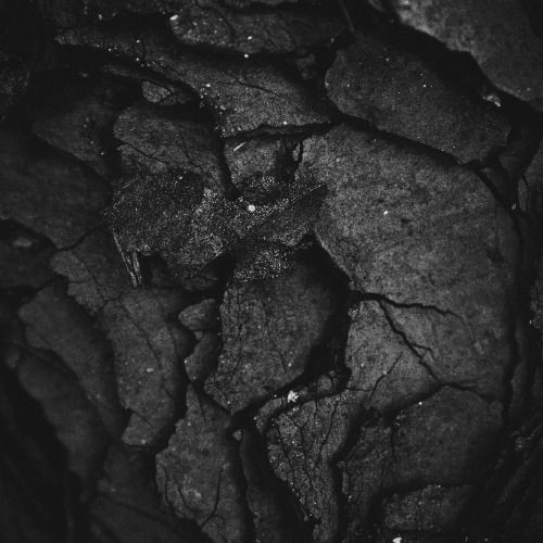 Buy EDM Ghost Production track - Scoofa Prog