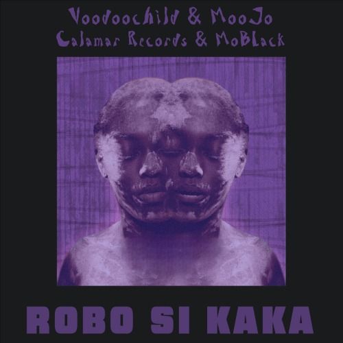Buy EDM Ghost Production track - Robo Si Kaka