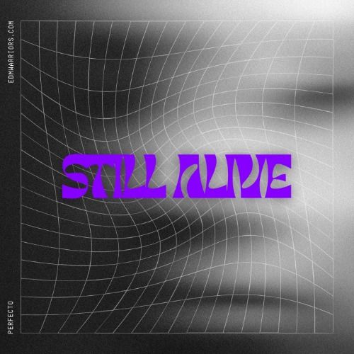 Buy EDM Ghost Production track - Still Alive