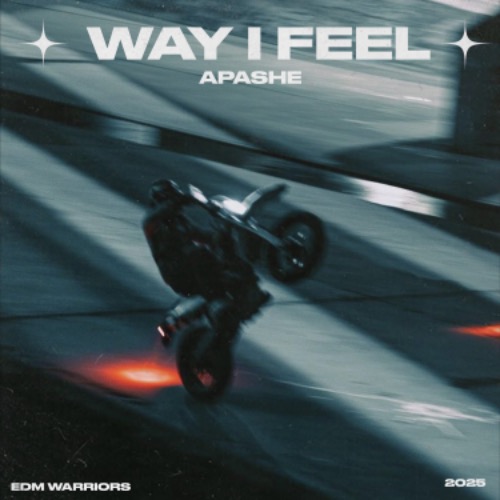 Buy EDM Ghost Production track - Way I Feel