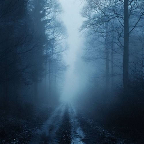 Buy EDM Ghost Production track - Dreamscape Ambient 8