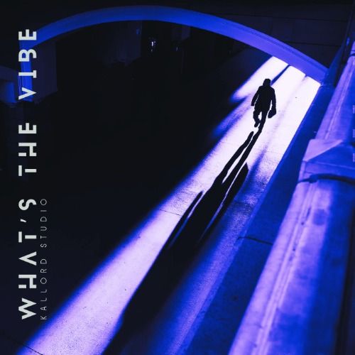 Buy EDM Ghost Production track - What's The Vibe