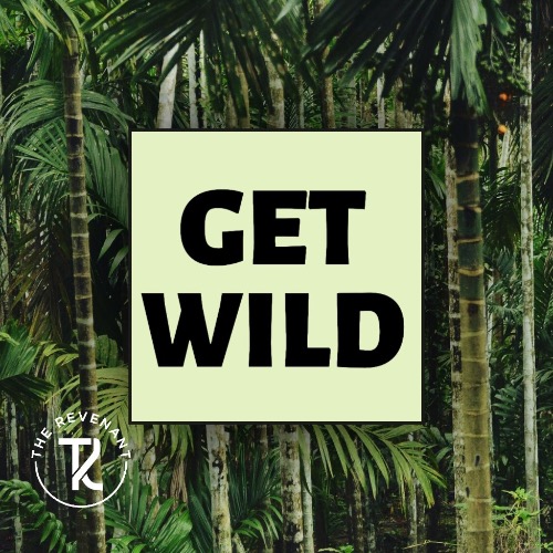 Buy EDM Ghost Production track - Get Wild