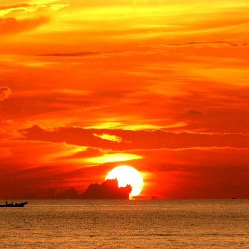 Buy EDM Ghost Production track - Forget About Today