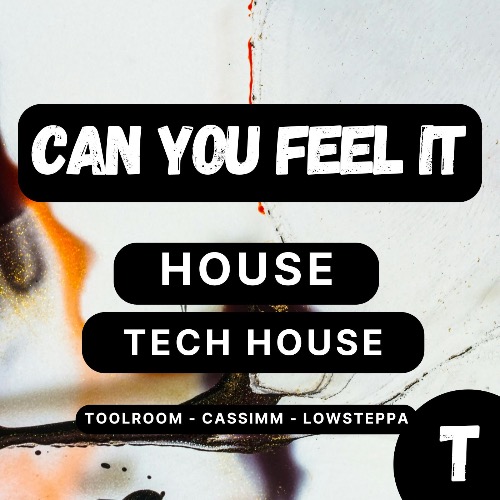 Buy EDM Ghost Production track - Can You Feel it