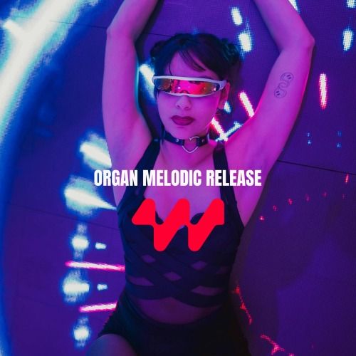 Buy EDM Ghost Production track - Elusive