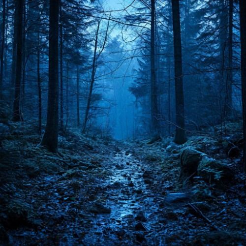 Buy EDM Ghost Production track - Dreamscape Ambient 12