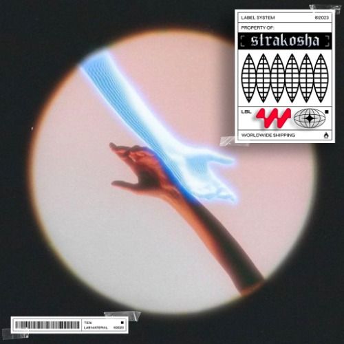 Buy EDM Ghost Production track - Odd Mobik