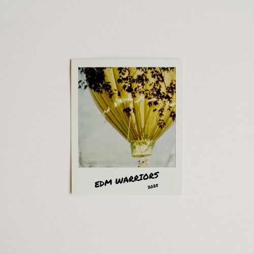 Buy EDM Ghost Production track - Save Me Now