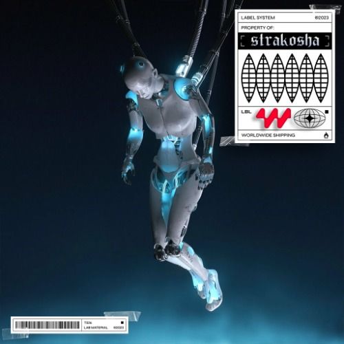 Buy EDM Ghost Production track - Don't Wanna