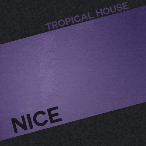 Buy EDM Ghost Production track - Nice