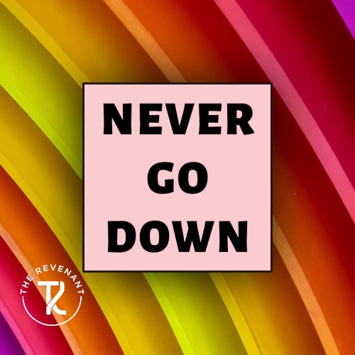 Buy EDM Ghost Production track - Never Go Down