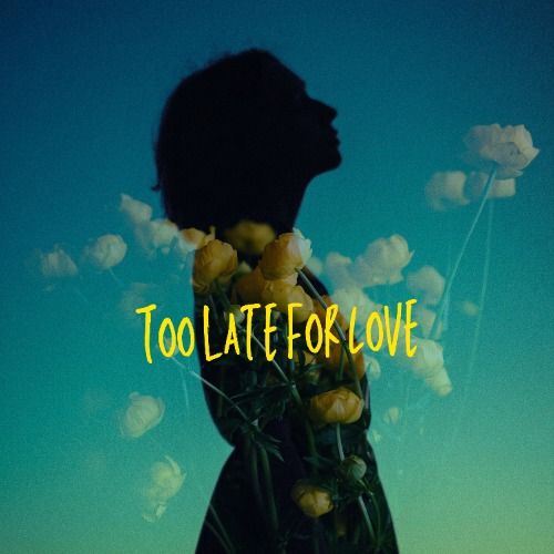 Buy EDM Ghost Production track - Too Late For Love