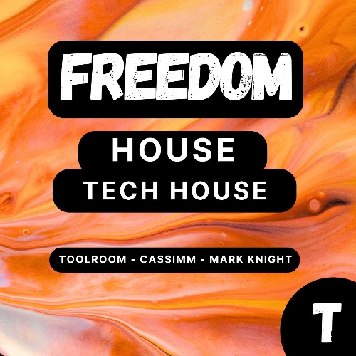 Buy EDM Ghost Production track - Freedom