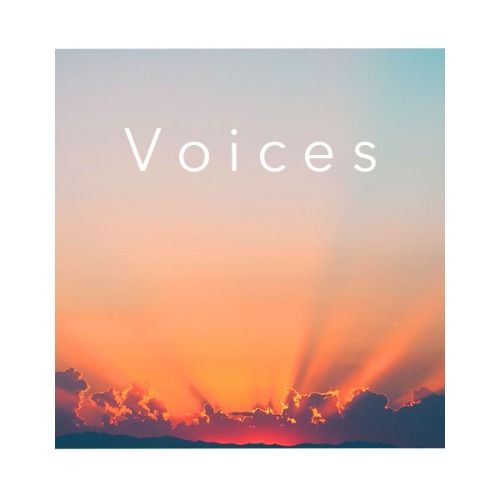 Buy EDM Ghost Production track - Voices