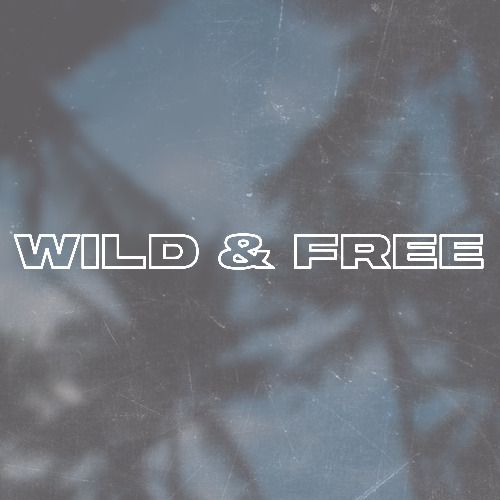 Buy EDM Ghost Production track - Wild & Free