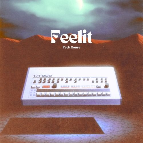 Buy EDM Ghost Production track - Feelit