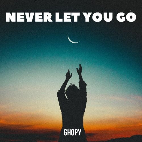 Buy EDM Ghost Production track - Never Let You Go
