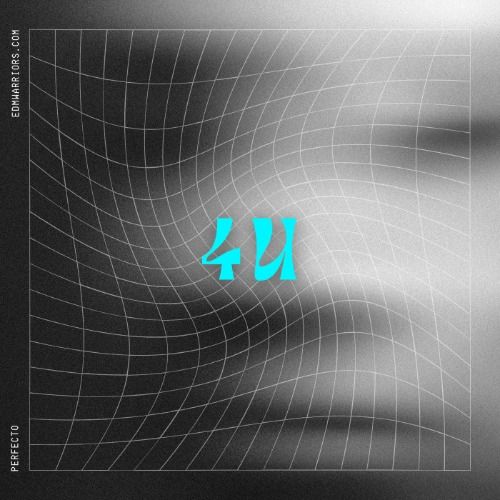 Buy EDM Ghost Production track - 4 U