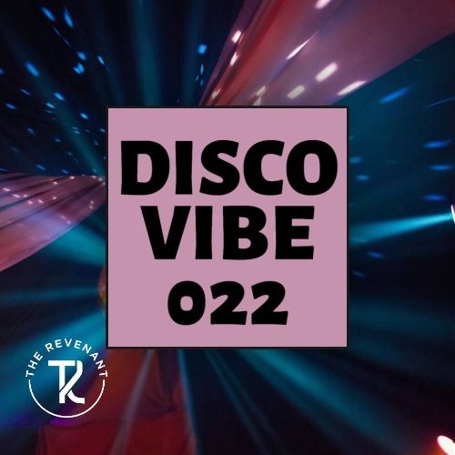 Buy EDM Ghost Production track - Disco Vibe 022
