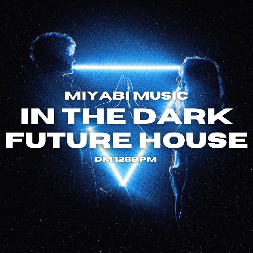 Buy EDM Ghost Production track - In The Dark