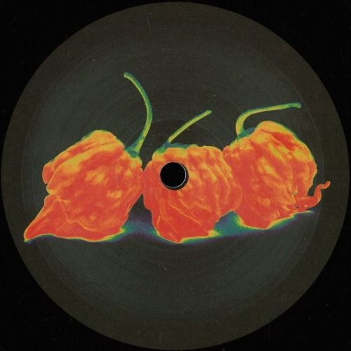 Buy EDM Ghost Production track - Body