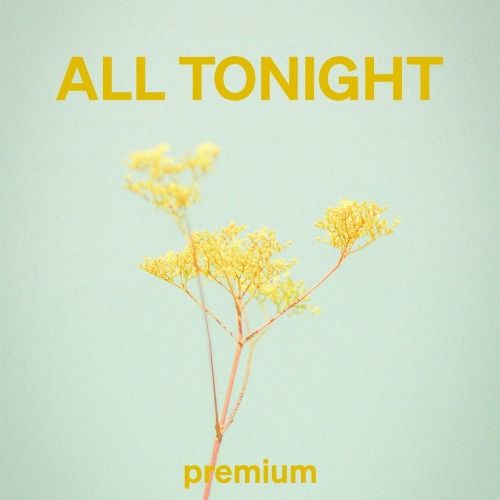 Buy EDM Ghost Production track - All Tonight