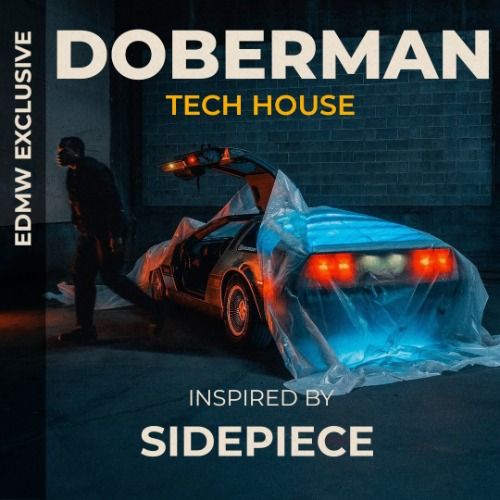 Buy EDM Ghost Production track - Doberman