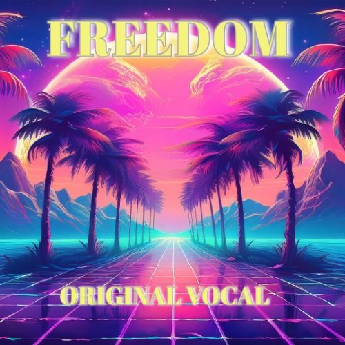 Buy EDM Ghost Production track - Freedom