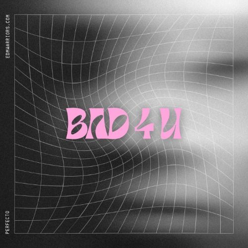 Buy EDM Ghost Production track - Bad 4 U
