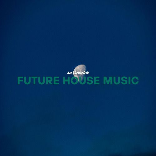 Buy EDM Ghost Production track - Surrender