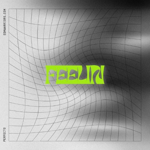 Buy EDM Ghost Production track - Feelin