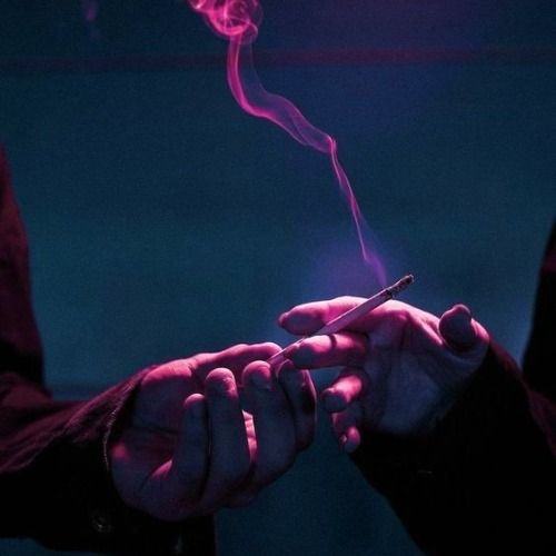 Buy EDM Ghost Production track - Everybody Looks Up