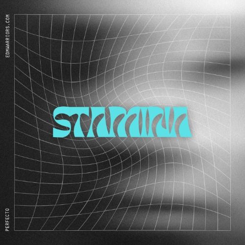Buy EDM Ghost Production track - Stamina