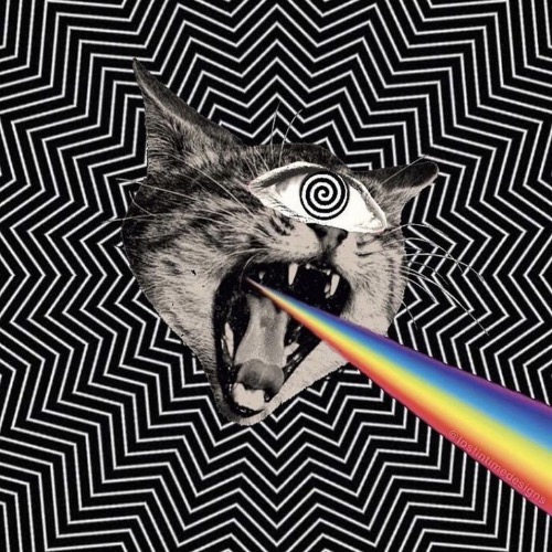 Buy EDM Ghost Production track - Took Control