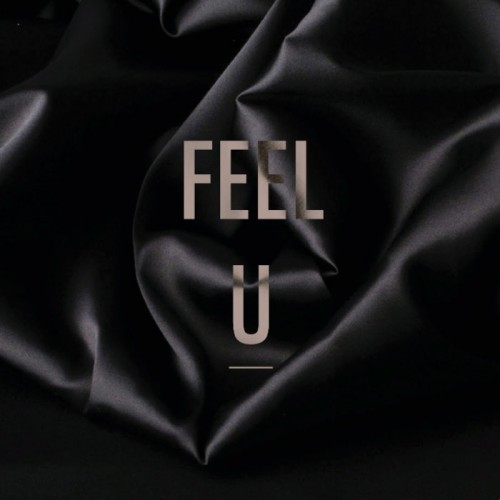Buy EDM Ghost Production track - Feel U