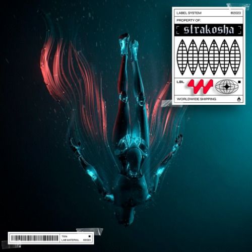 Buy EDM Ghost Production track - Anyma Peak Time