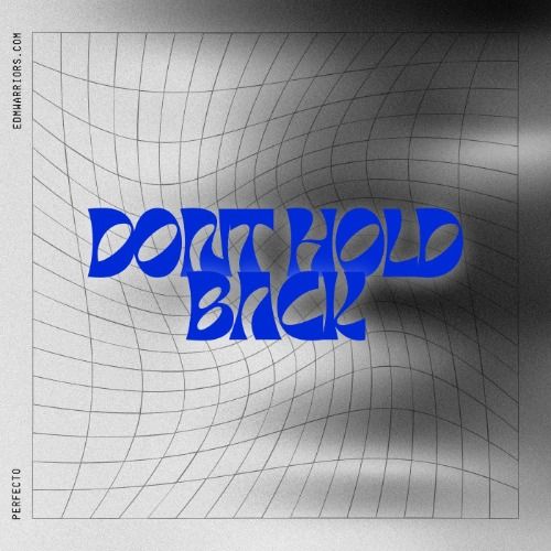 Buy EDM Ghost Production track - Don't Hold Back