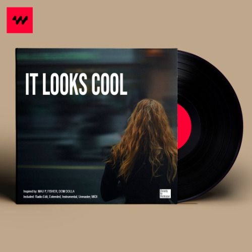 Buy EDM Ghost Production track - It Looks Cool