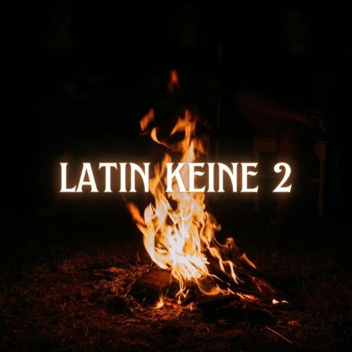 Buy EDM Ghost Production track - Latin Keine 2